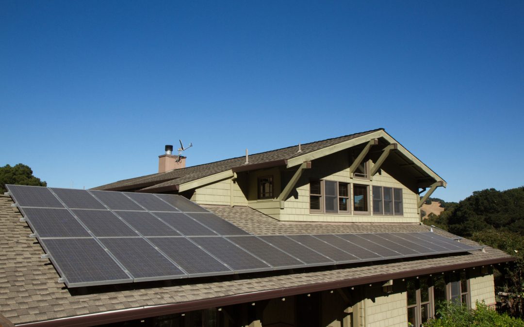 Solar Panel Savings: How to Save Money (and the Environment)